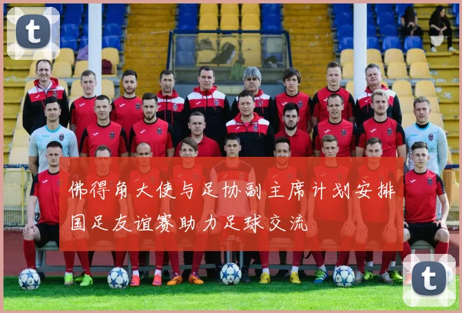 佛得角大使与足协副主席计划安排国足友谊赛助力足球交流
