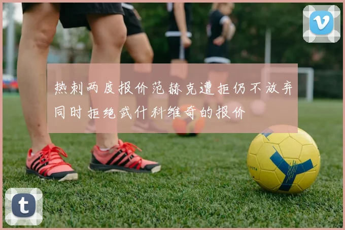 热刺两度报价范赫克遭拒仍不放弃同时拒绝武什科维奇的报价