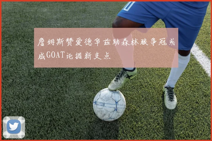 詹姆斯赞爱德华兹助森林狼争冠或成GOAT论据新支点